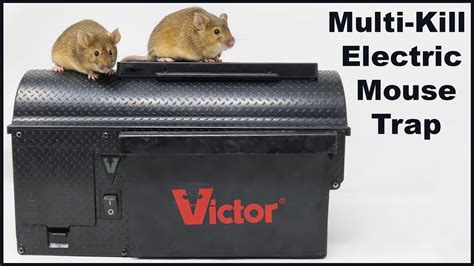 black mouse electric killing box|multi kill mouse trap.